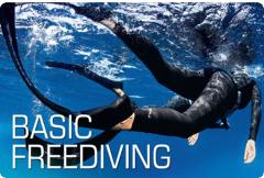 SSI Basic Freediver Course