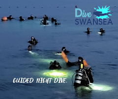 Night Dive Single Shore Dive Swansea Bridge
