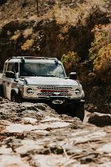 2023 Bronco Everglades Cactus Grey: Austin