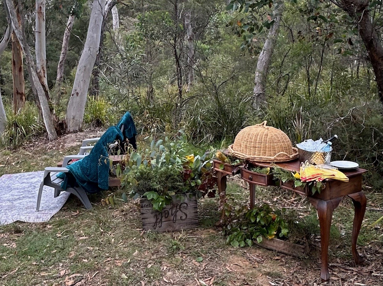 Bushland Bliss: A Secluded Picnic Escape