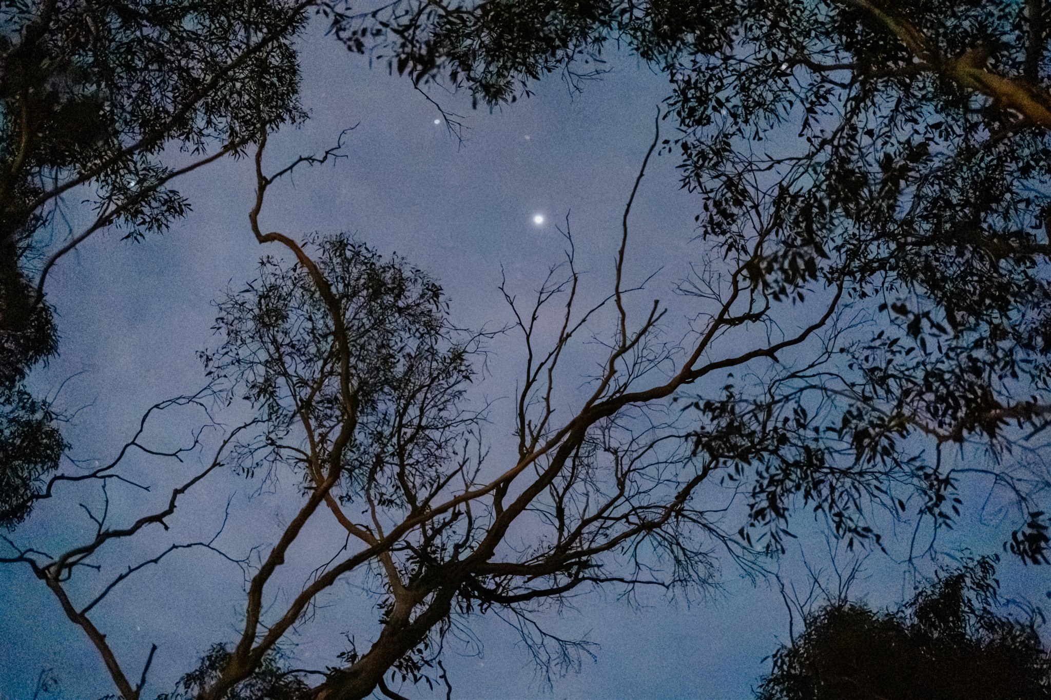 A Private Regenerative Farm-to-Fire Dining Experience at Scribbly Farm Southern Highlands
