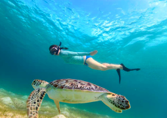 1 Day Nusa Lembongan Snorkeling Trip - From Bali