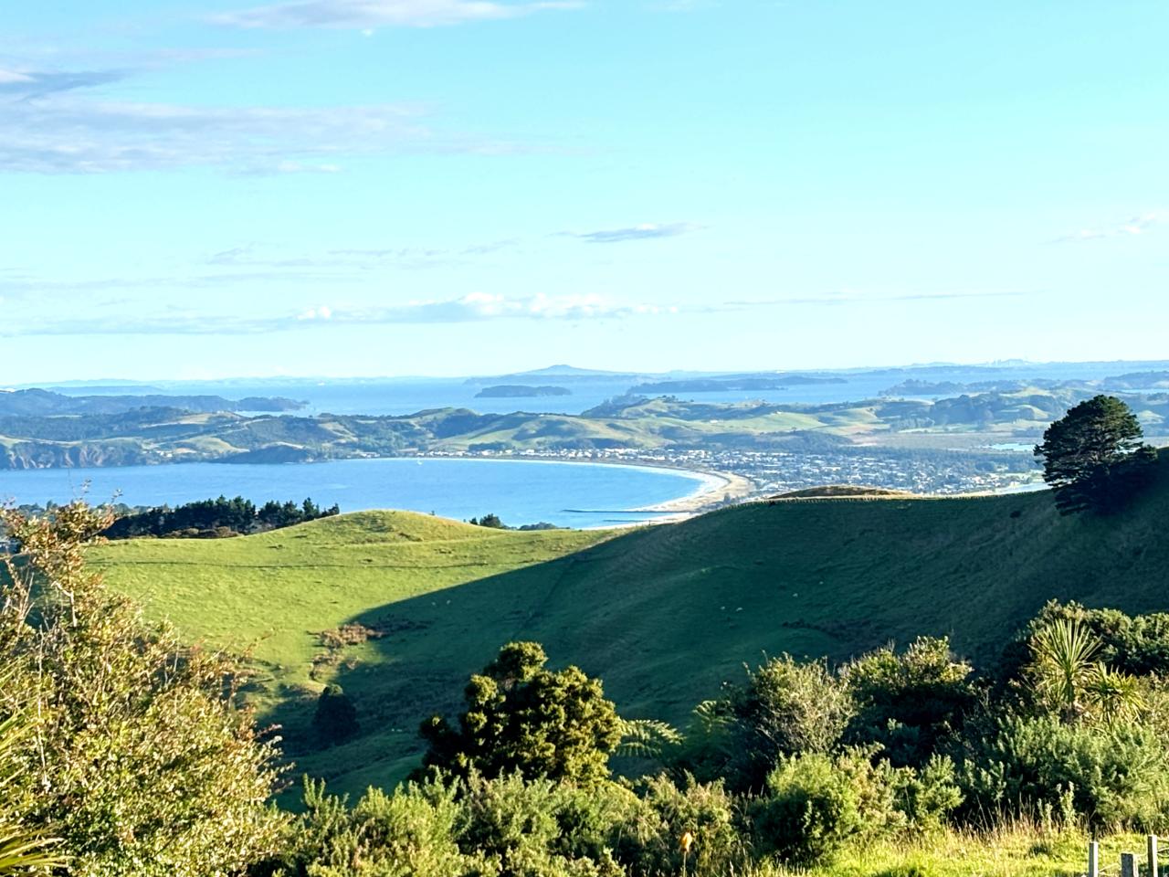 ArtTravel: Auckland and Matakana Regional Discovery - Private Tour — Auckland - Photo 1