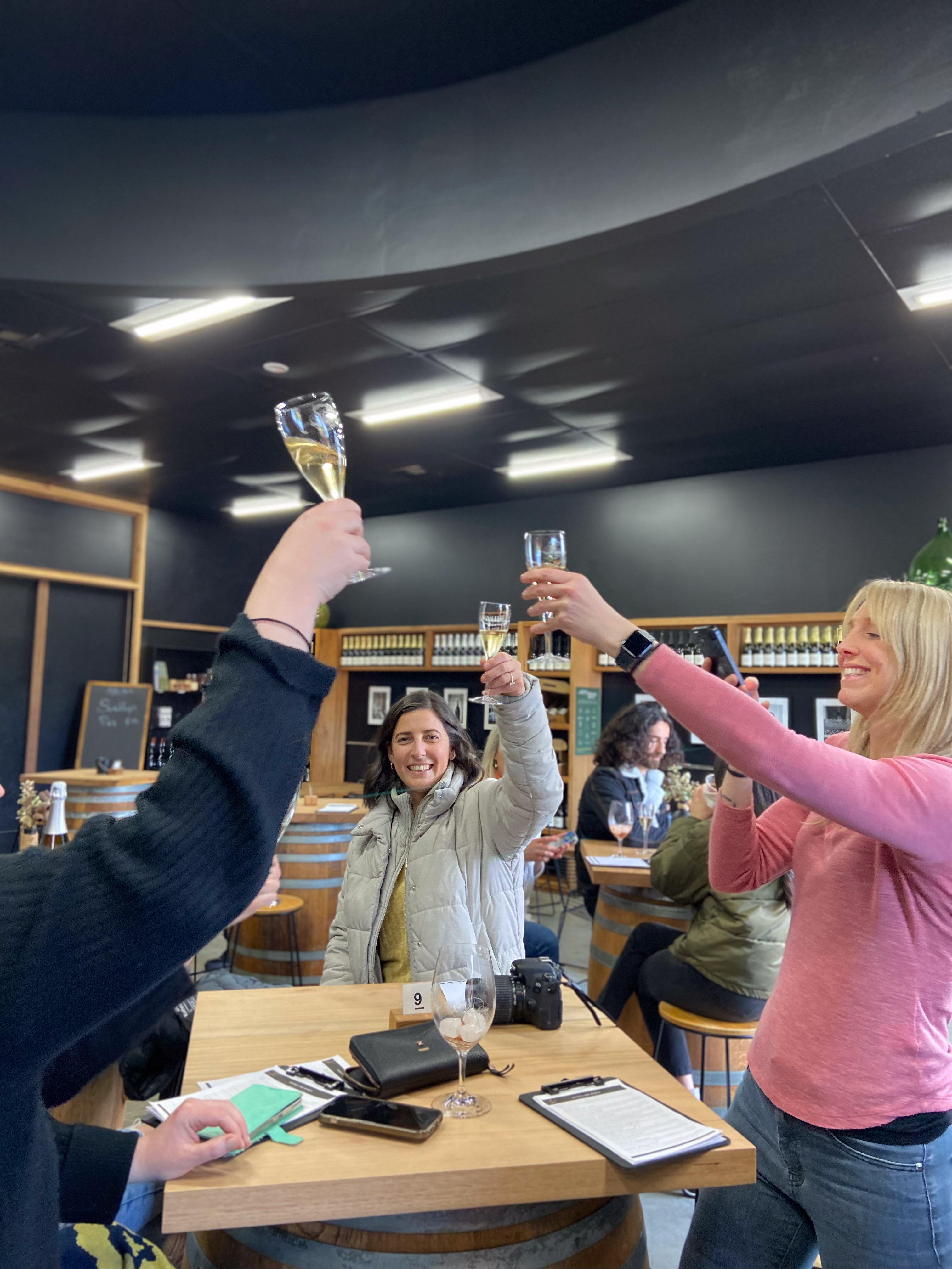 PRIVATE PARTY BIKE CRAFT TOUR - Mornington Peninsula - Rum, Cider, Wine, Gin (Recommended for the ladies)