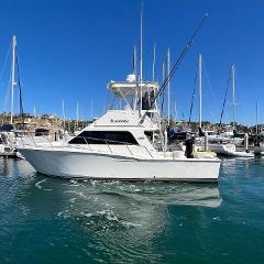 Full Day Island Halibut, Lingcod, & More.  Sportfish Cruiser “Blackfish” (6 Pass Max) 