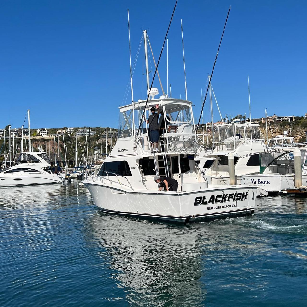 Full Day Island &/Or Offshore Tuna, Yellowtail, & More. Sportfish ...