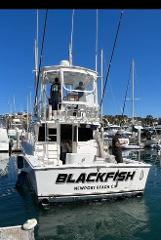  Half Day Fishing Morning Or Afternoon. Luxury Sportfisher “Blackfish” (6 Pass Max)