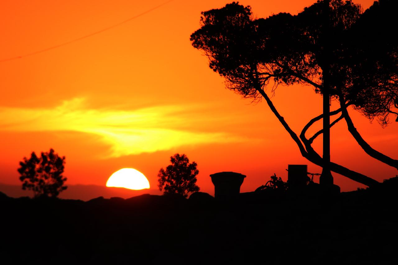 newport-beach-sunset-and-evening-cruises