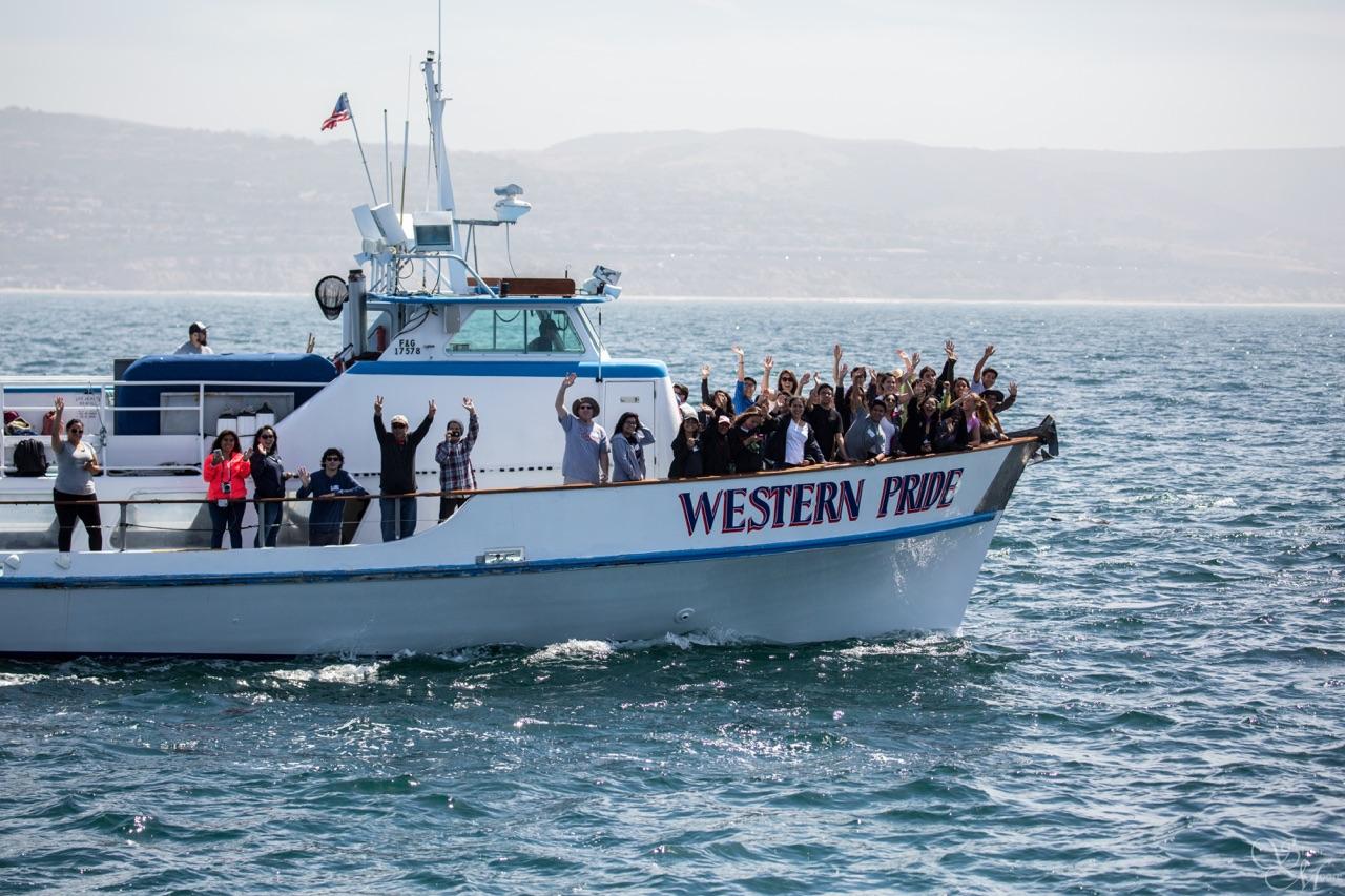 Whale Watch - Crystal Cove Conservancy MPA Cruises