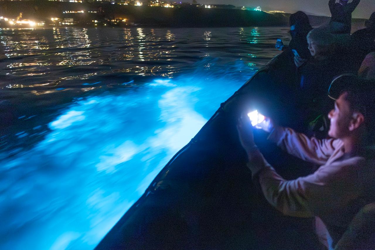 Evening Bioluminescence Glow Coastal Cruise (1 hr 45 min)