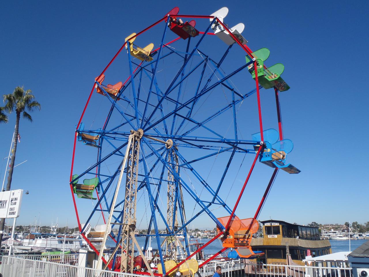 $21 Whale Watching Cruise & Ferris Wheel Ticket Package - Davey's 