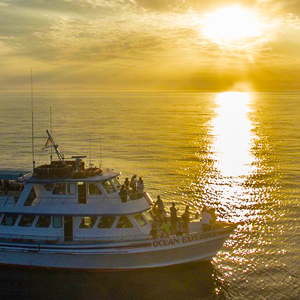 Sunset/Evening Cruises + Drink with L&L Travel Enterprise