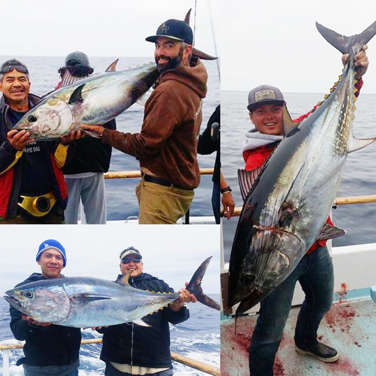 2 Day (Islands/Offshore) Fishing Trips