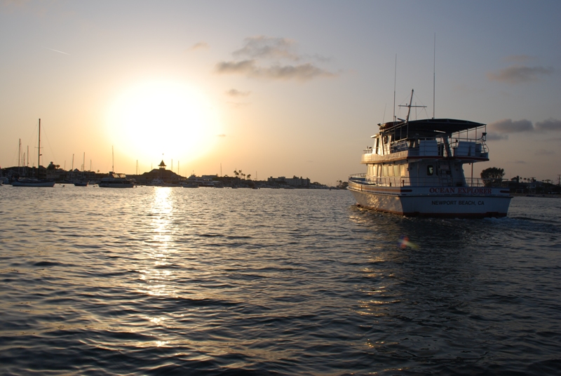 newport beach sunset cruise catamaran