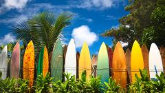 Surfboard and Bodyboard Rentals