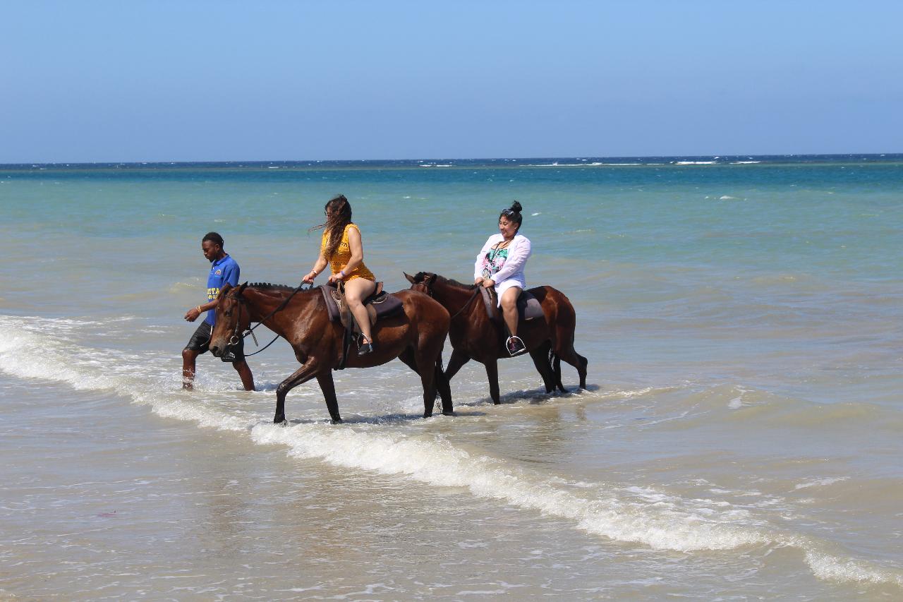 Horseback Ride & Swim/ Blue Hole Adventure Combo