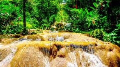 Konoko Botanical Garden and WaterFall (Private Transport)