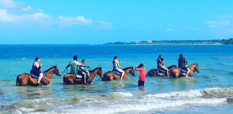 Horseback Beach Ride & Swim