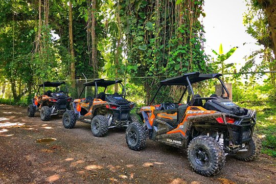 Rastasafari All-Terrain Buggy and Swim Experience