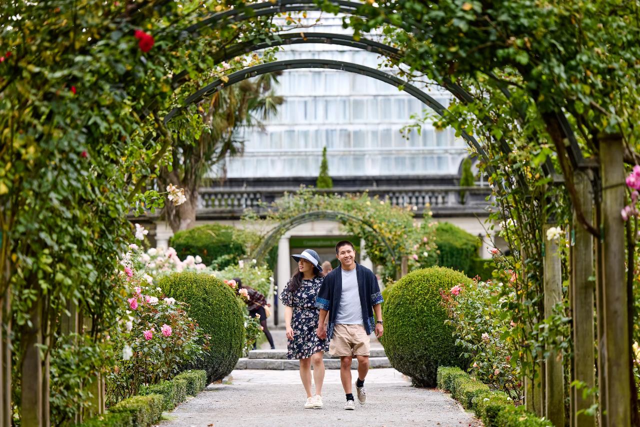 Christchurch Sightseeing Tour 