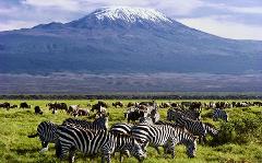 Adventure and Explore East Africa: 18 Days through Kenya, Uganda, Rwanda and Burundi Safari.