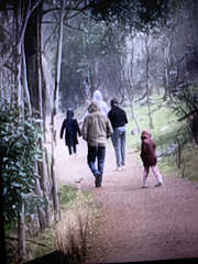 PILGRAM TRAIL BUSH WALK AT WALYUNGA 