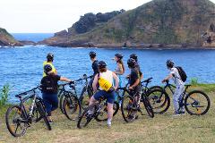 Bike Tour: Vila Franca Cultural Trail - Pottery & Pineapple Gardens