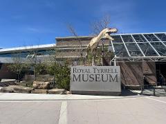 Minivan Airport Shuttle: Drumheller or Royal Tyrell Museum to Calgary 