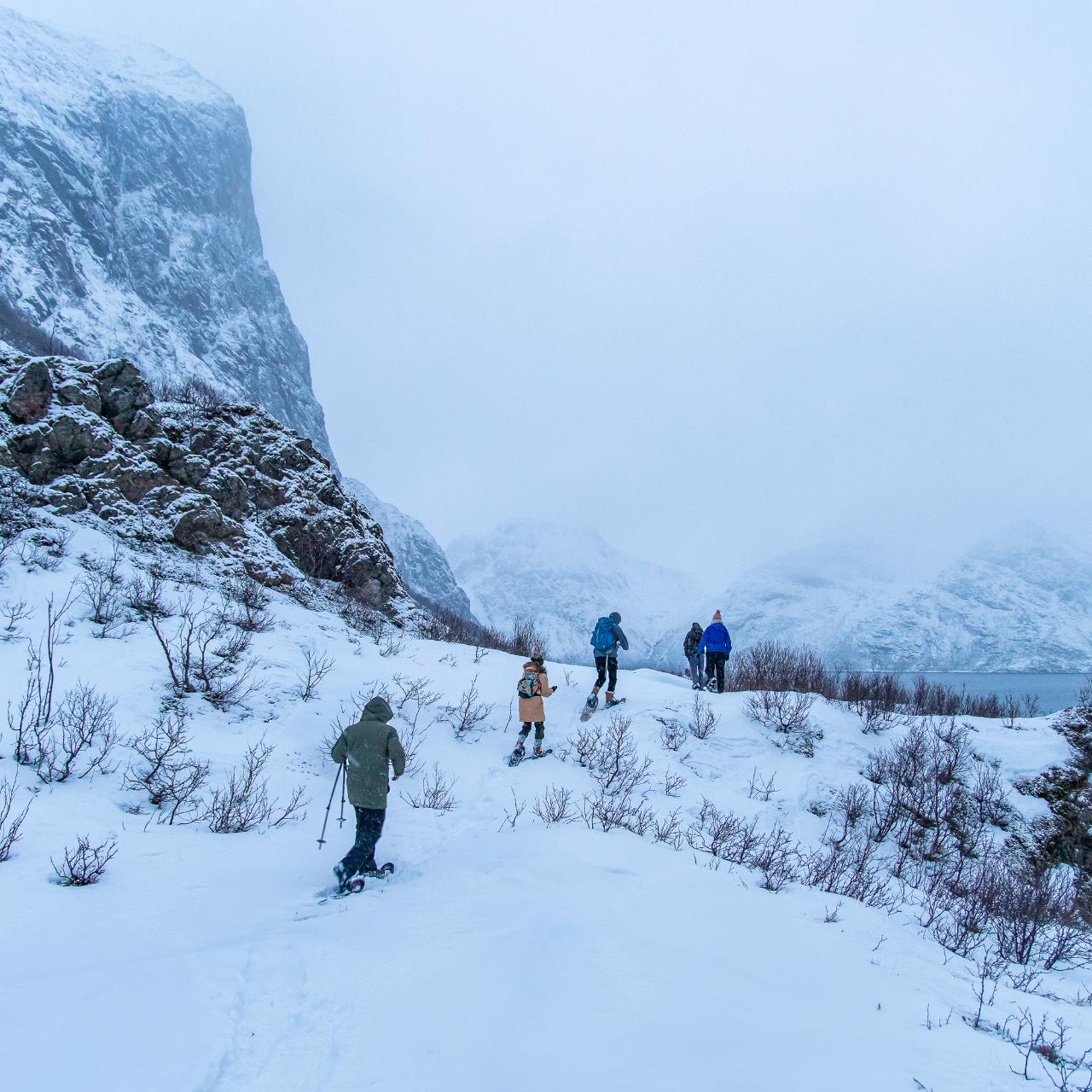 Arctic Landscapes Hiking Tour - Extra Small group 6 max - 4x4 vehicle - Sightseeing / Hiking / Snowshoeing