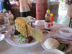 Private Mekong Delta Day Trip from Ho Chi Minh City