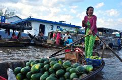 Ben Tre Mekong Delta Day Trip (Deluxe Small Group)