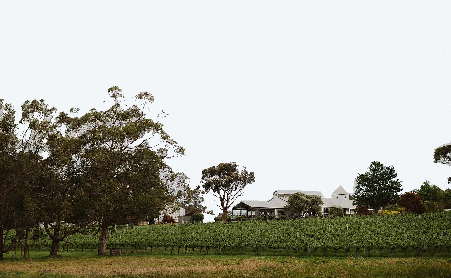 Hay Shed Hill Wine Blending Experience