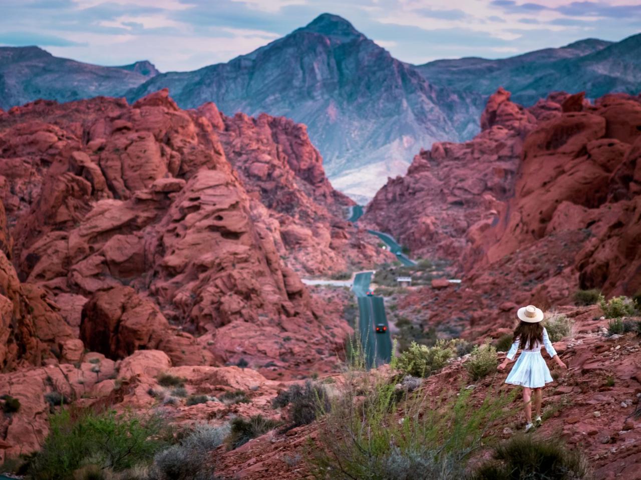 Valley of Fire and Mojave Desert Small VIP Group Tour