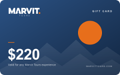 $220 Gift Card