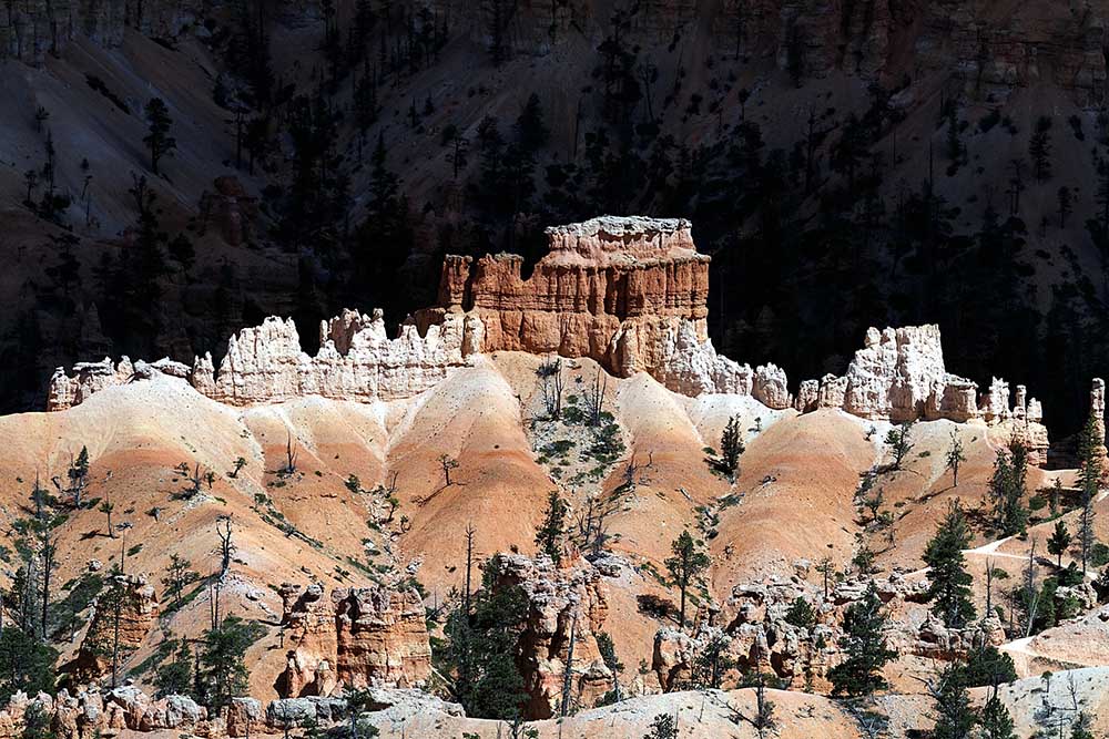 Bryce Canyon and Zion Park Private Tour from Las Vegas