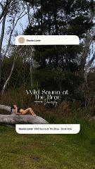 Wild Sauna at The Brae - 50 minute private sauna