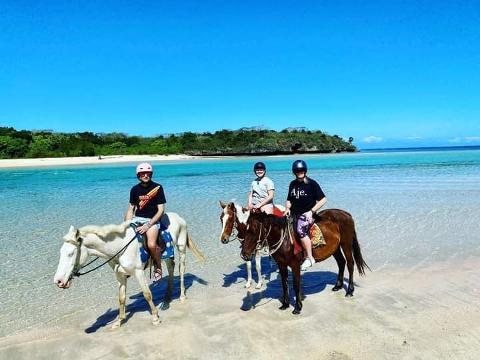 The Authentic Fijian Beach Horse Riding Adventure