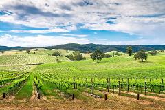 Adelaide Hills & Hahndorf Tour