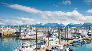 The Great White North - Homer to Fairbanks Alaska
