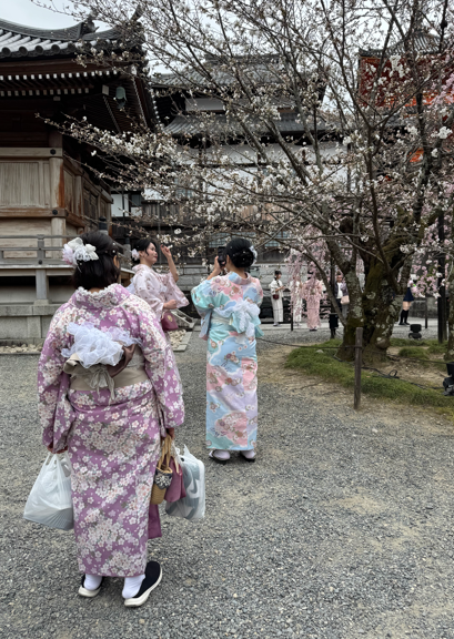 2026 Spring Cities of Kansai - 4 nights/ 3 days