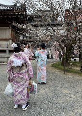 2026 Spring Cities of Kansai - 4 nights/ 3 days