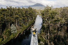 Tahune Airwalk Site Entry