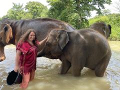 Top Rated Full-Day Elephant Tour - Bathe-Swim-Hand Feed The Elephants