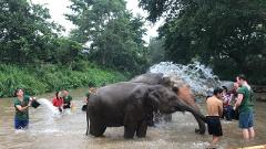 3 In 1 Full Day - Elephant Tour - Zipline - Waterfall - River Rafting - Book Direct