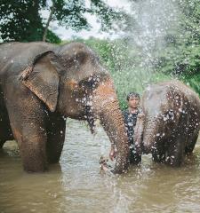 Elephant Tour Zipline Waterfall & Rafting - Chiang Mai
