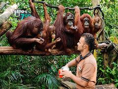 Singapore Zoo, Mandai Wildlife Reserves