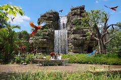 Singapore Bird Paradise, Mandai Wildlife Reserves