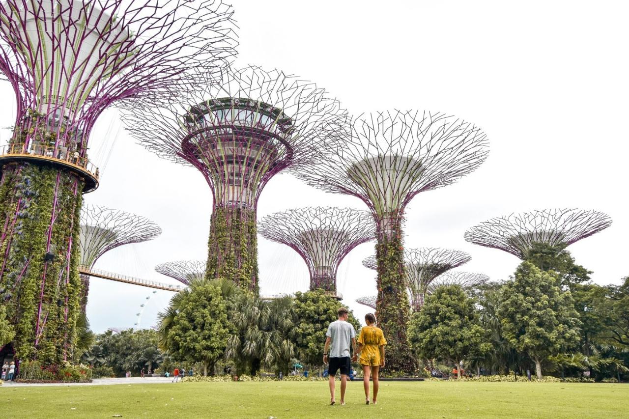 Singapore Flyer & Gardens By The Bay Spectacular
