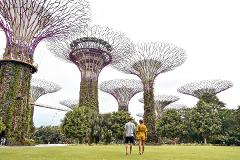 Singapore Flyer & Gardens By The Bay Spectacular
