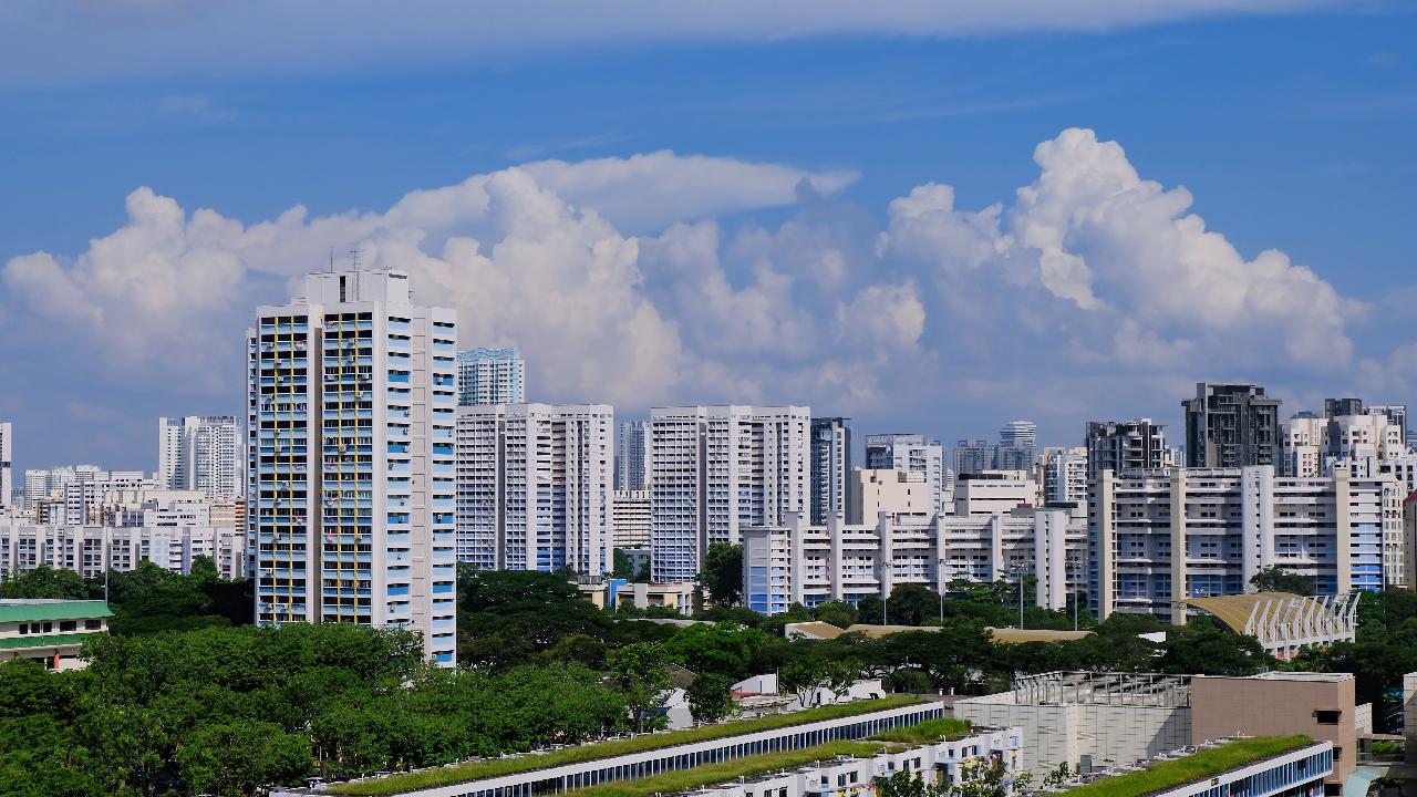 Singapore Heartland Marvels Half Day Guided  Tour